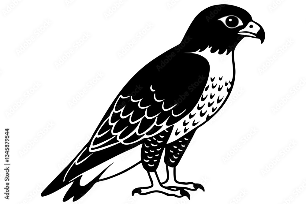 Fototapeta premium falcon line art silhouette vector illustration
