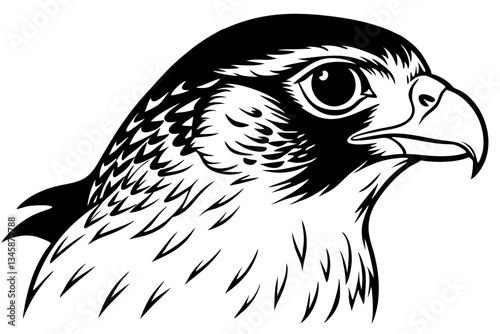 falcon head line art silhouette vector illustration
