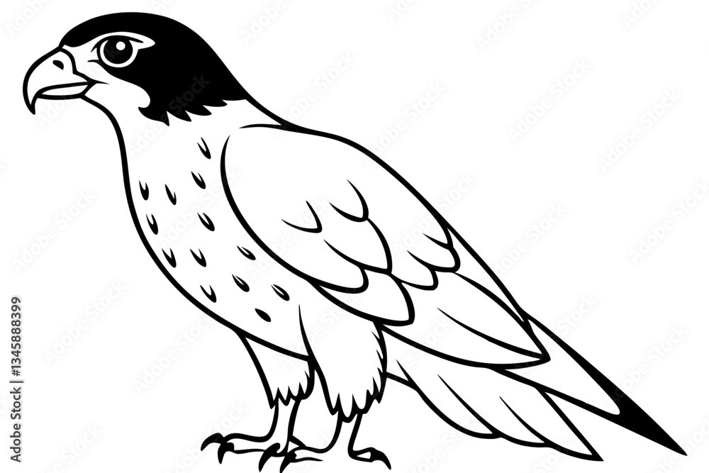 hawk line art silhouette vector illustration hawk line art silhouette vector illustration