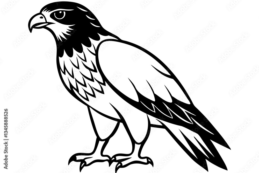 Fototapeta premium hawk line art silhouette vector illustration
