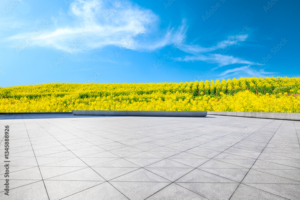 Empty square floor and yellow rape flowers bloom in spring