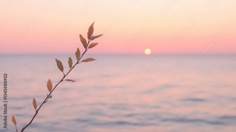 Pastel Sunset Over Calm Water With Delicate Branch Pastel Sunset Over Calm Water With Delicate Branch