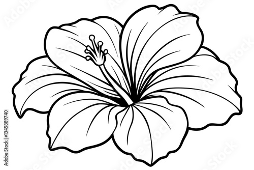 hibiscus line art silhouette vector illustration