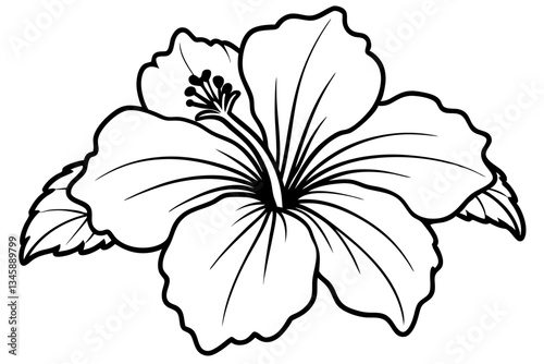 hibiscus line art silhouette vector illustration