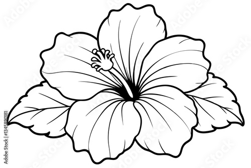 hibiscus line art silhouette vector illustration