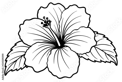 hibiscus line art silhouette vector illustration