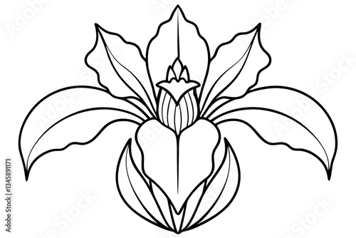 iris line art silhouette vector illustration
