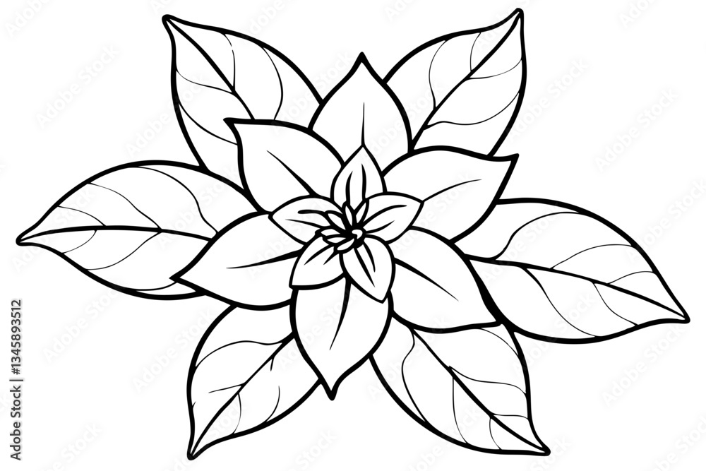 Fototapeta premium jasmine flower line art silhouette vector illustration