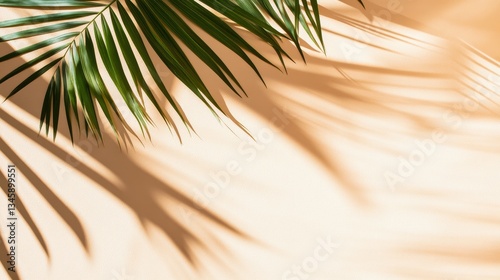 Green Palm Leaves And Shadows On A Soft Beige Wall.
