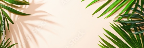 Selective Focus Palm Leaves With Strong Shadow Effects. photo