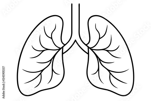 lungs line art silhouette vector illustration