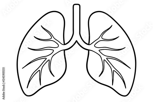 lungs line art silhouette vector illustration