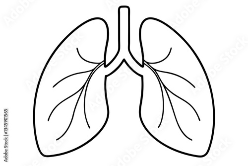 lungs line art silhouette vector illustration