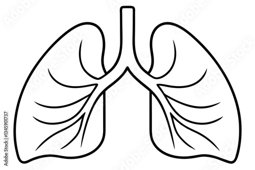 lungs line art silhouette vector illustration