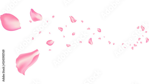 rose and sakura flying petal romantic background vector