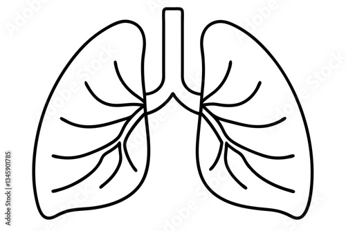 lungs line art silhouette vector illustration