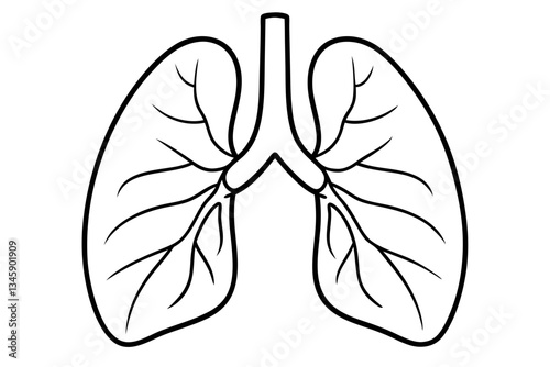 lungs line art silhouette vector illustration