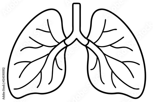 lungs line art silhouette vector illustration