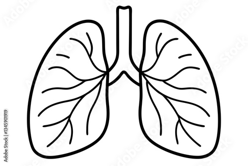 lungs line art silhouette vector illustration