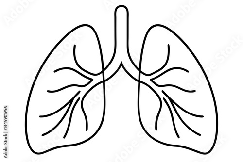 lungs line art silhouette vector illustration
