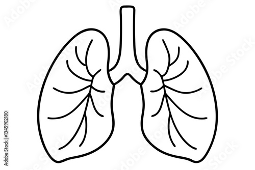 lungs line art silhouette vector illustration