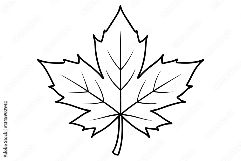 Obraz premium maple leaf line art silhouette vector illustration