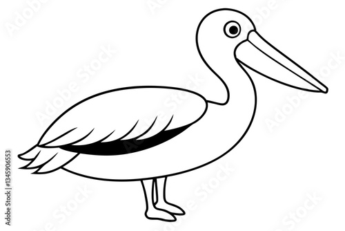 pelican line art silhouette vector illustration