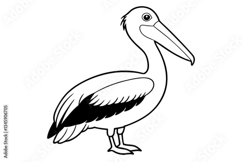 pelican line art silhouette vector illustration
