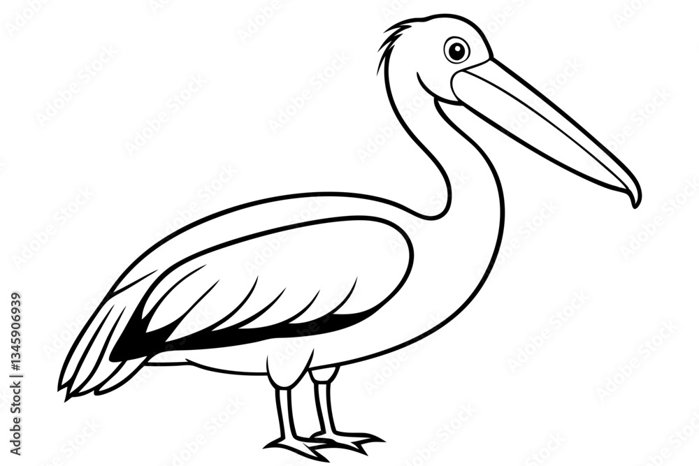 Fototapeta premium pelican line art silhouette vector illustration