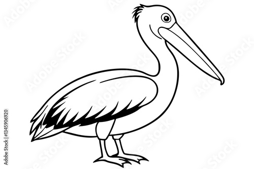 pelican line art silhouette vector illustration