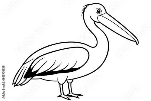 pelican line art silhouette vector illustration