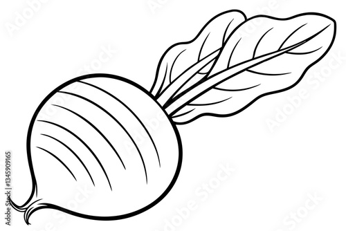radish line art silhouette vector illustration