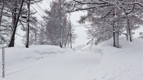Deep snow covering road with trees during a snowstorm. handheld shot