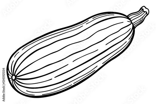 zucchini line art silhouette vector illustration