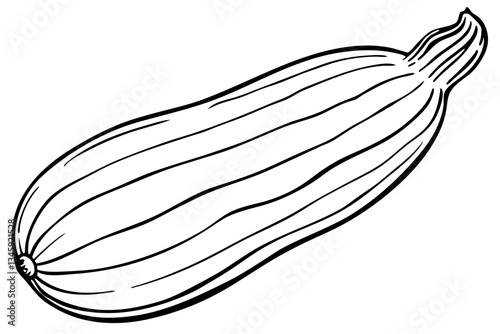 zucchini line art silhouette vector illustration