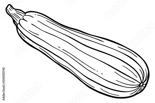 zucchini line art silhouette vector illustration