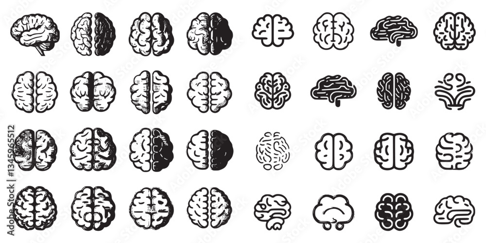 Collection of Brain Illustrations for Education and Healthcare Collection of Brain Illustrations for Education and Healthcare