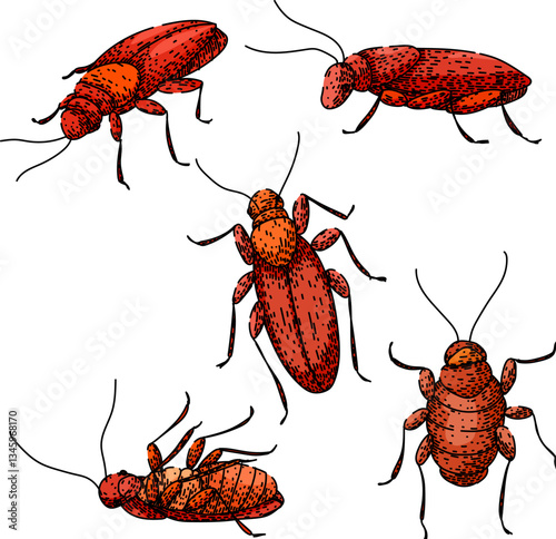 cockroach set sketch hand drawn vector
