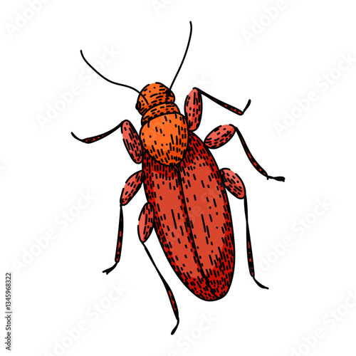 extermination cockroach sketch hand drawn vector