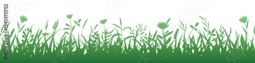 Drawn grass isolated on white background, seamless border, vector design