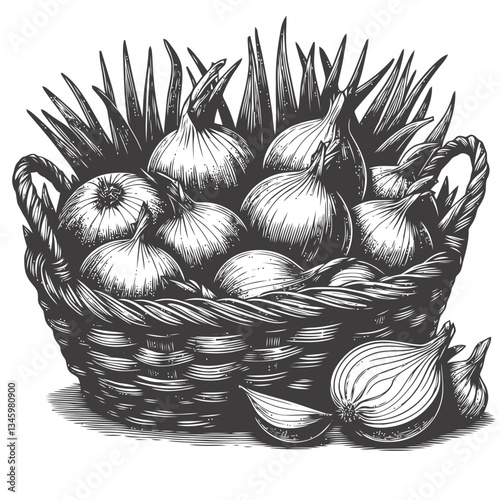 Engraved illustration of rustic basket filled with peeling onions