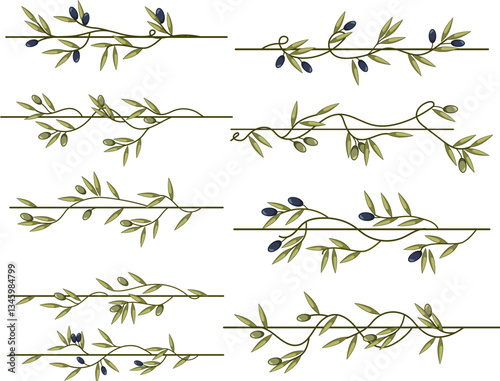 olive border divider set cartoon vector illustration