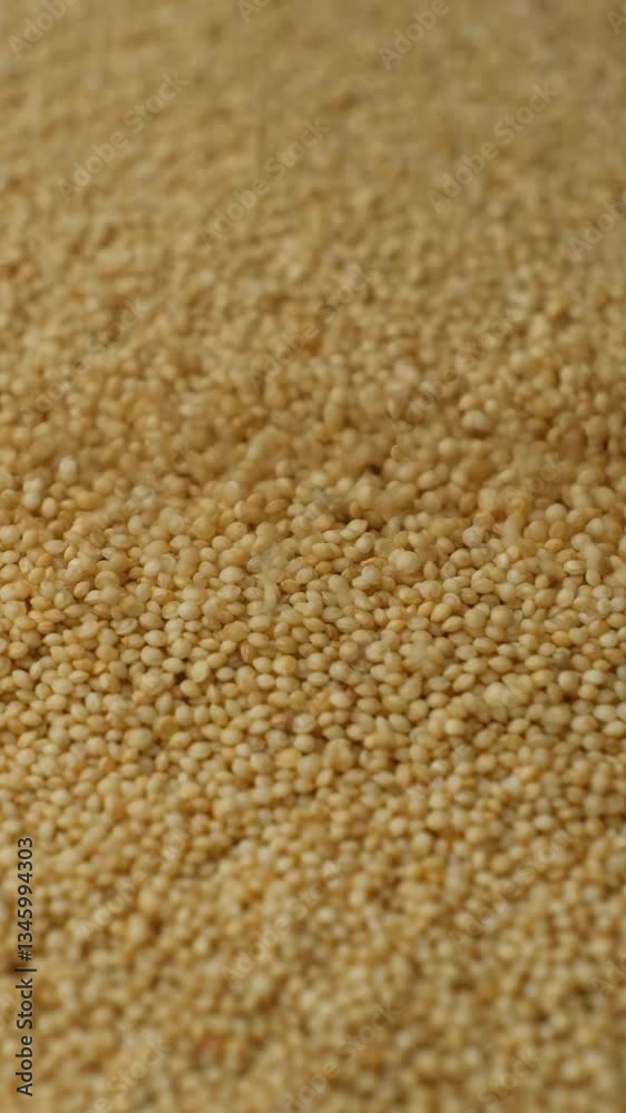 Uncooked Amaranth Seeds Pour Slow Motion Vertical. Uncooked Amaranth Seeds Pour Slow Motion Vertical.