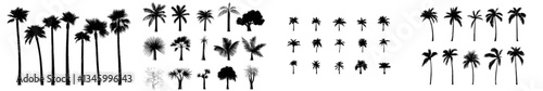 Modern design featuring silhouettes of palm trees isolated on a white background with a black palm tree set