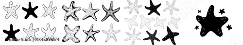 A set of starfish icons is presented on a white background, showcasing modern sea life and marine invertebrates, including mollusks and starfish