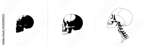 A simple skull in halftone, a profile of a skeleton head in a halfstone picture, representing human anatomy and death through a cranium side view, now a modern symbol