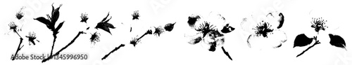Watercolor sakura branches are depicted in a Chinese cherry blossom branch set with pink flower petals
