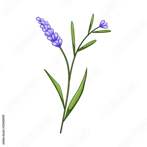 gold lavender cartoon vector illustration