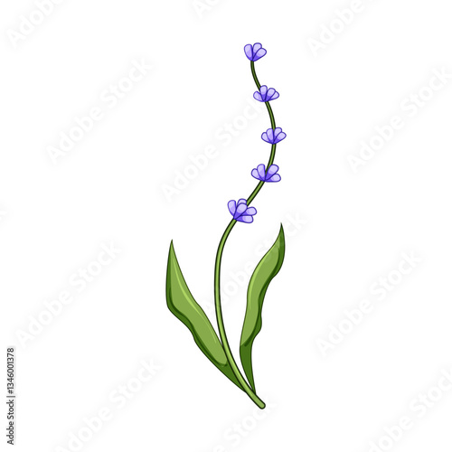 magic lavender cartoon vector illustration