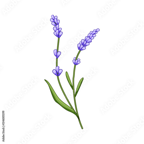 luck lavender cartoon vector illustration